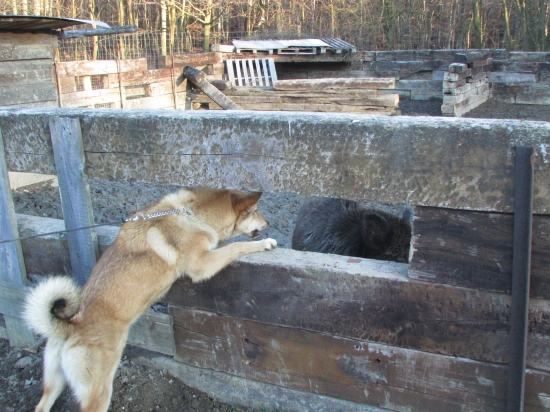 byli jsme potrenovat