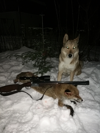 společný brzký ranní lov