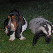 muj první vživotě 14,5kg a super dohledavka meho psa