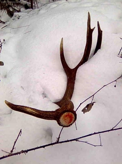 moje prvé zhody tohto roku