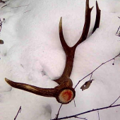 moje prvé zhody tohto roku