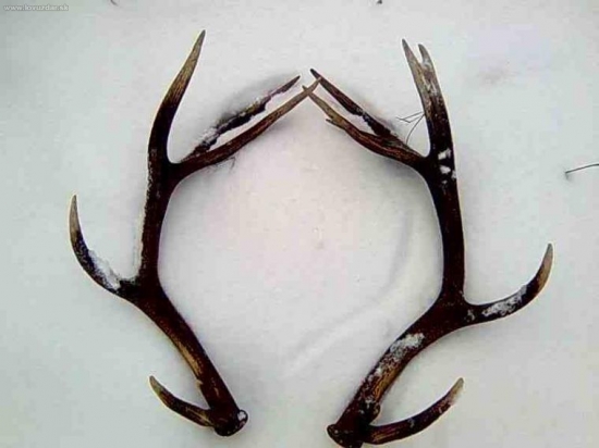 moje prvé zhody tohto roku