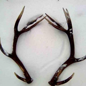 moje prvé zhody tohto roku