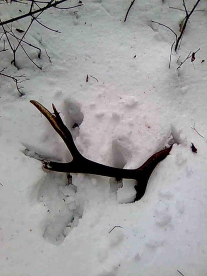 moje prvé zhody tohto roku