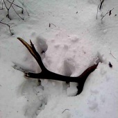 moje prvé zhody tohto roku