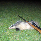 Prírodná lekáreň