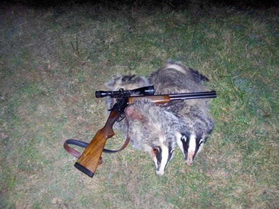 Keď Diana praje ....