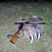 Keď Diana praje ....