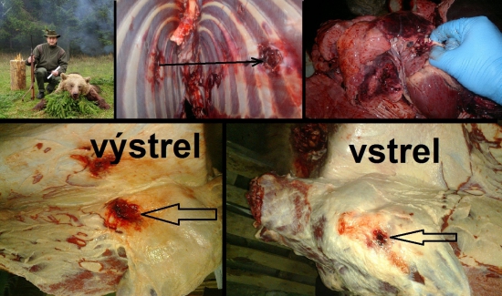 Norma Vulkán 11,7g 30-06