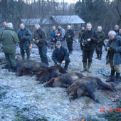 Spoločná poľovačka