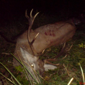 12-torak nepravydelny