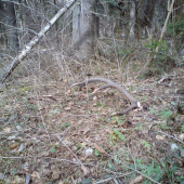 Konečne sa pošťastilo