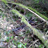 Po 3 rokoch hladania som ho nasiel