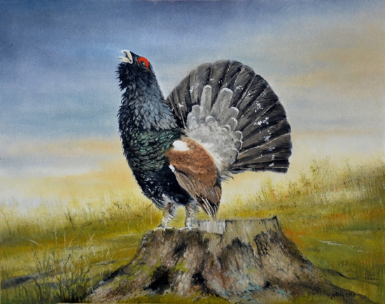 Jesenná výzva hlucháňa