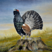 Jesenná výzva hlucháňa