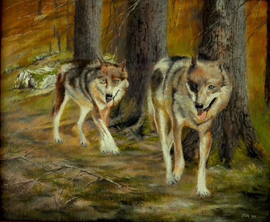 Bratia na kontrole revíru