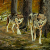 Bratia na kontrole revíru