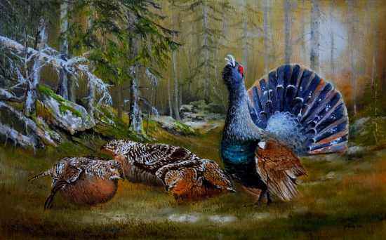 Pripravené - len si vybrať