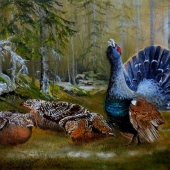 Pripravené - len si vybrať