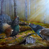 Kto tu bude kráľom?