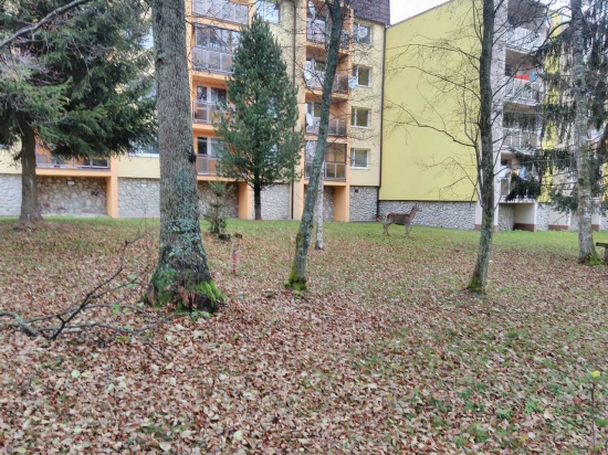 Takto medzi domami