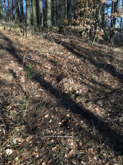 Konečne aj keď starý