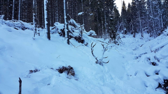 pridavam dalsiu zo vcera