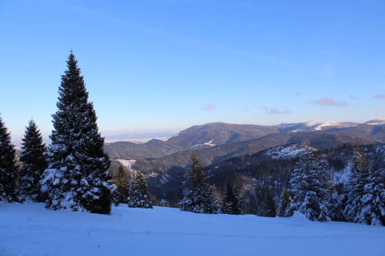 Levočské vrchy