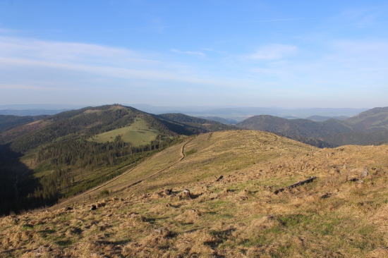 Levočské vrchy