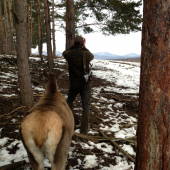 Poľovačka na jeleňa :))