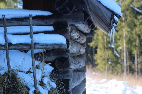 Jedna z obľúbených