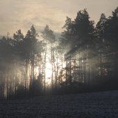 Keď sa krajina zobúdza