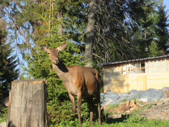 Skoro som sa jej aj dotkla