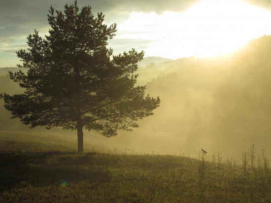 Neskutočné čaro prírody