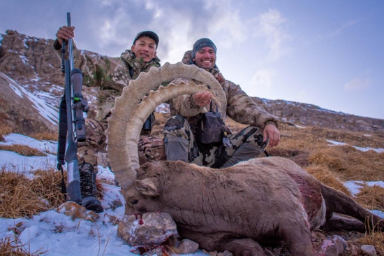 Kozorožec sibírsky