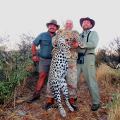 Špecial leopard safari