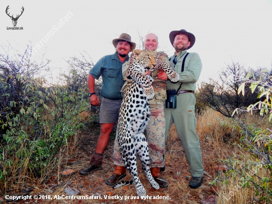 Špecial leopard safari