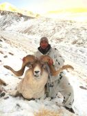 Marko polo Argali - ovca z Kirgizska