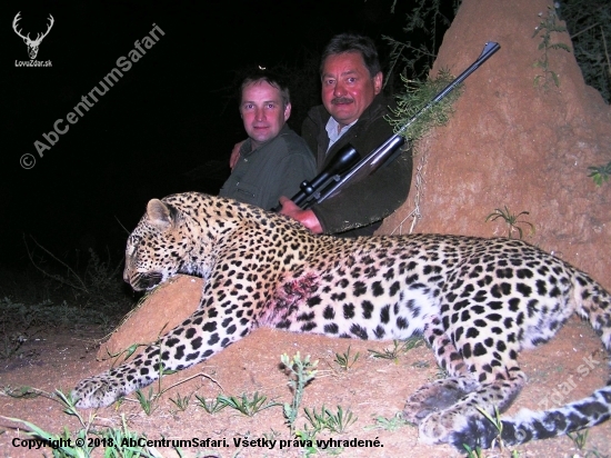 Špecial leopard safari