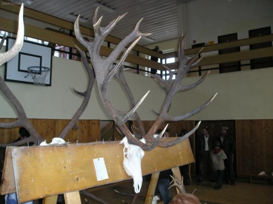 Najlepší v okrese SL 227-CIC