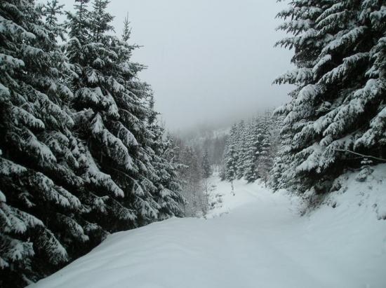 U nás ešte zima neskončila...