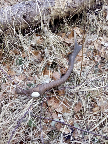 Do pary z minulého týždňa