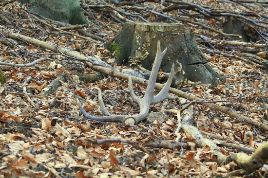 Po roku sa naše cesty opäť stretli