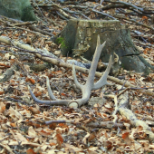 Po roku sa naše cesty opäť stretli