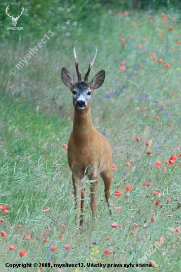 17490