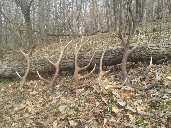 Aprílový dozber roku 2013