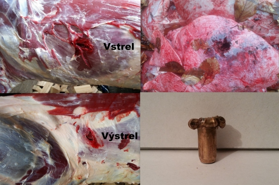 Blaser CDP 10,7gr-308 W