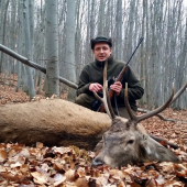 Novembrový jelienok