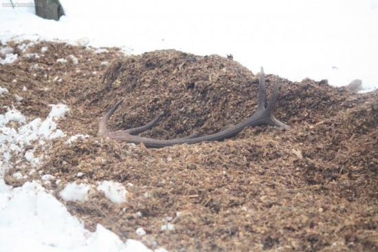 Február 2009 - 2,5 kg - 101 cm