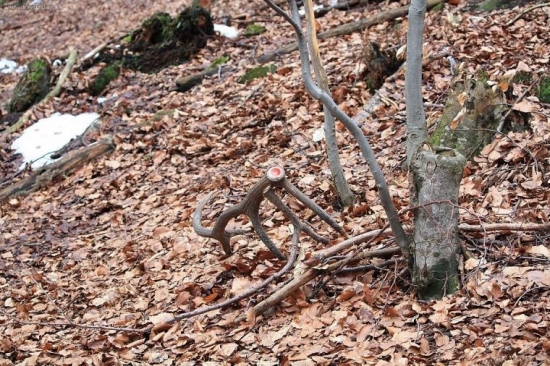 Dnes sa konečne zadarilo